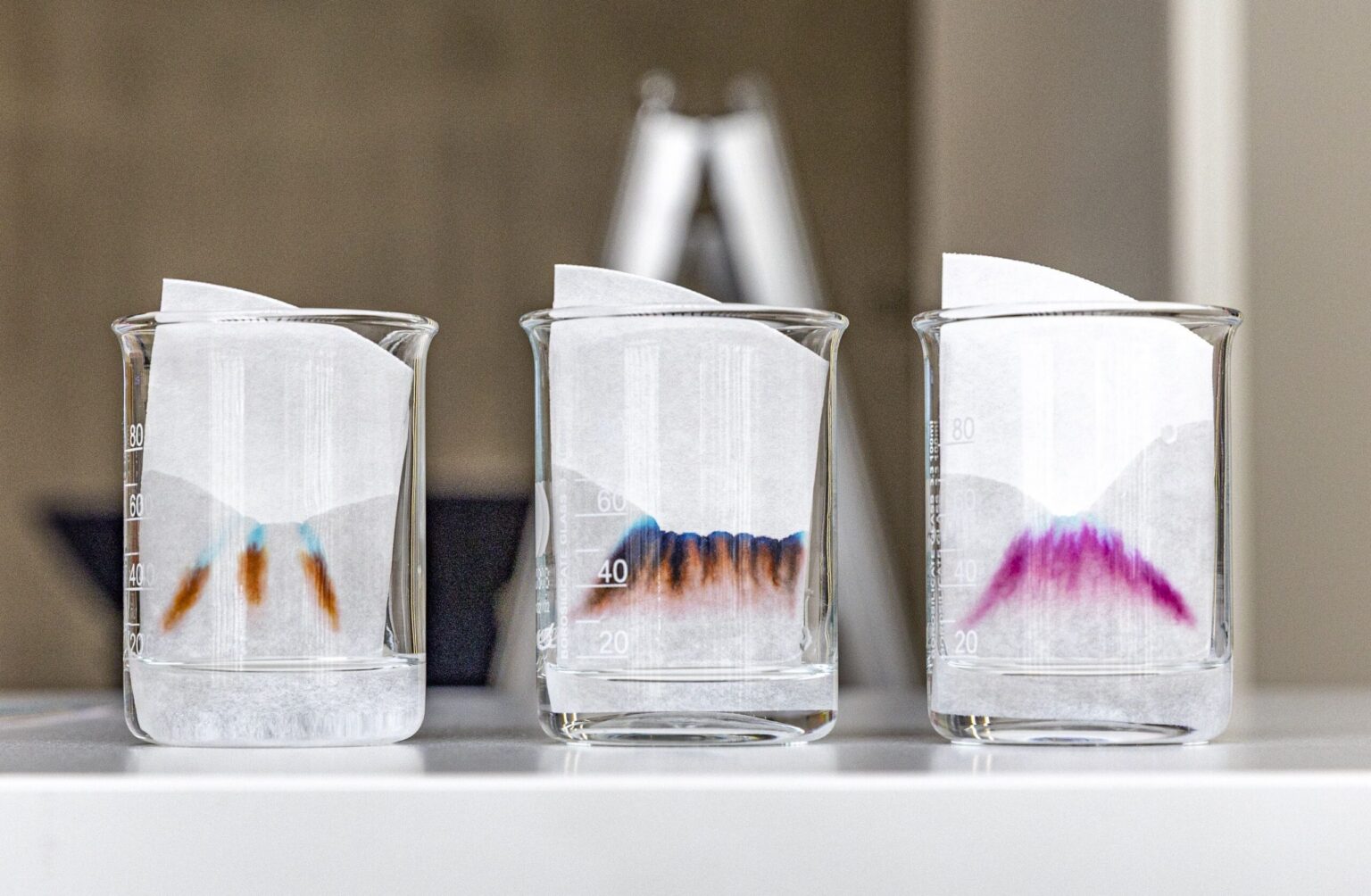 In drei gläsernen Messbechern saugt sich mit Filzstiften markiertes Filterpapier mit Wasser voll, wobei die Farben sich in ihre Bestandteile auflösen und Muster ergeben.