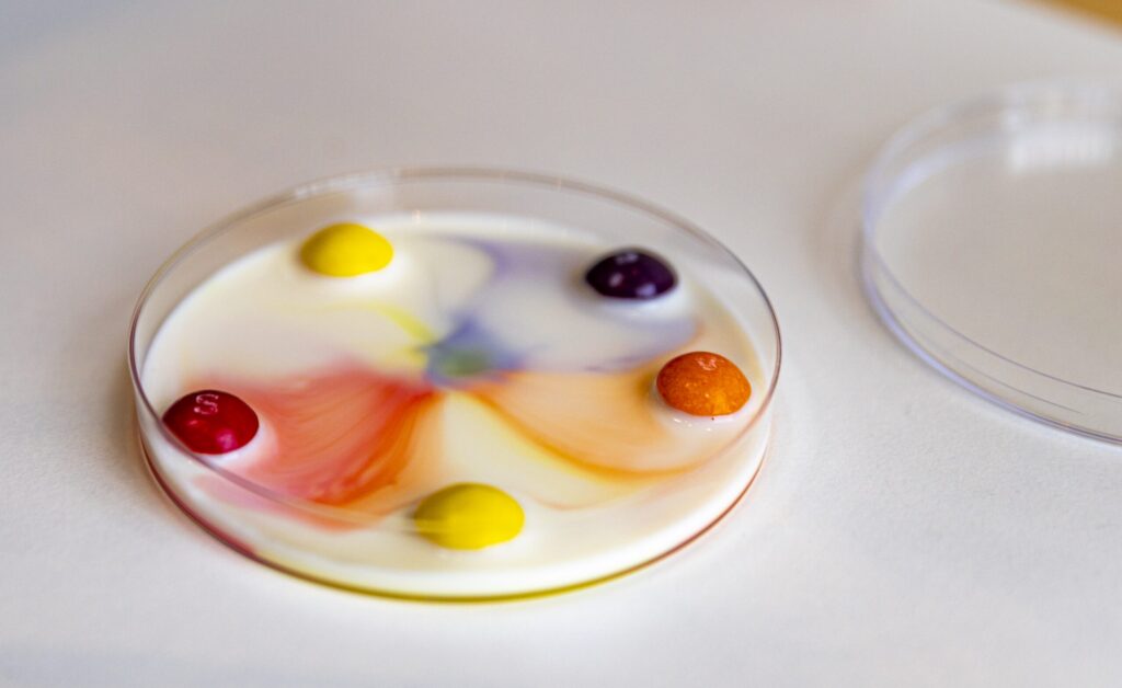 In einer mit Milch gefüllten Glasschale löst sich die Farbe von bunten Schokolinsen.
